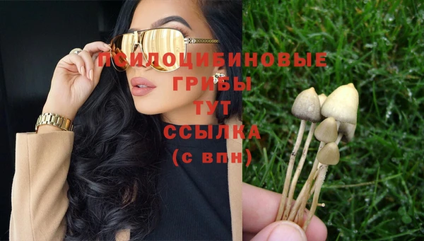 прущая мука Абинск