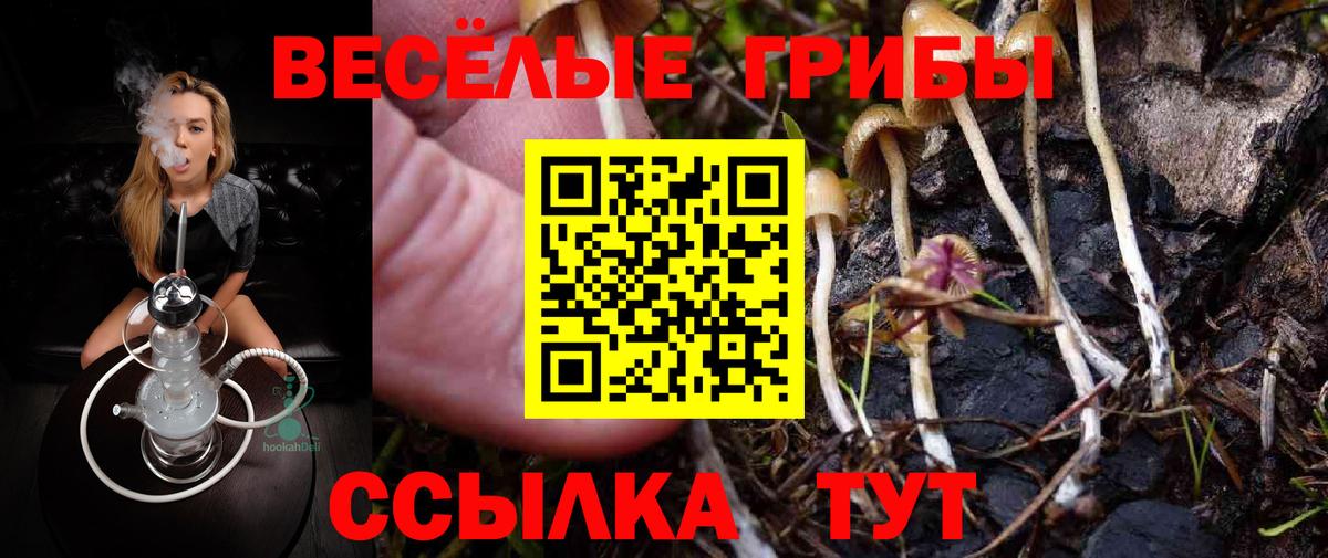 Псилоцибиновые грибы ЛСД Тула