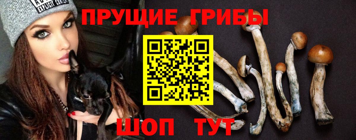 Тула  Псилоцибиновые грибы ЛСД  что такое   Вход с VPN 